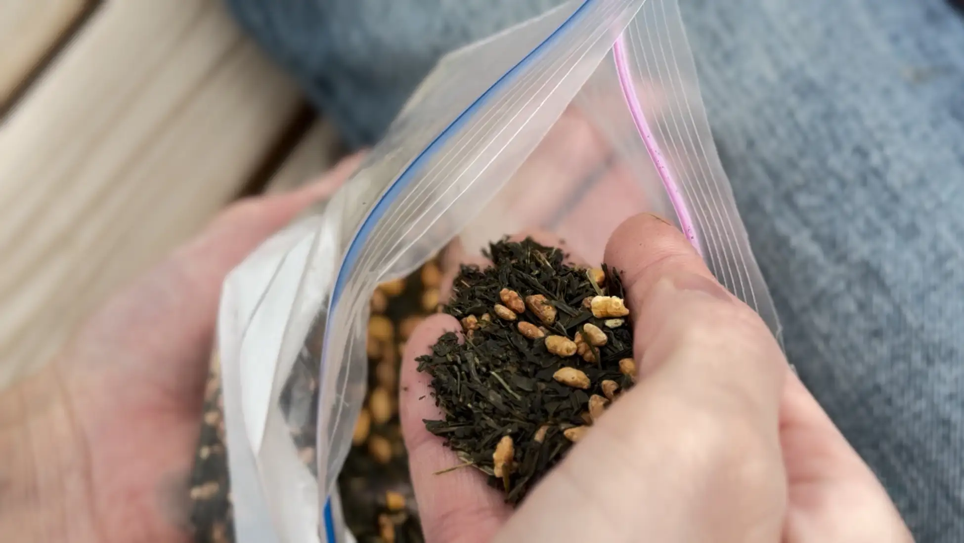 GXアートの画材として用いられた茶葉の出涸らし（茶殻）
